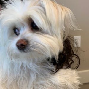 Meet your Posher, Anabel